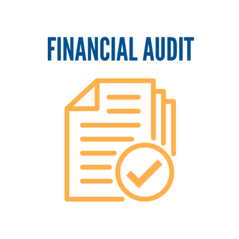 Financial Audit