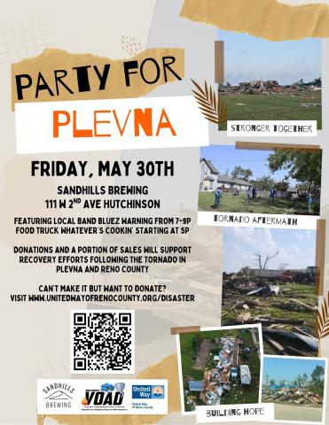 Party for Plevna